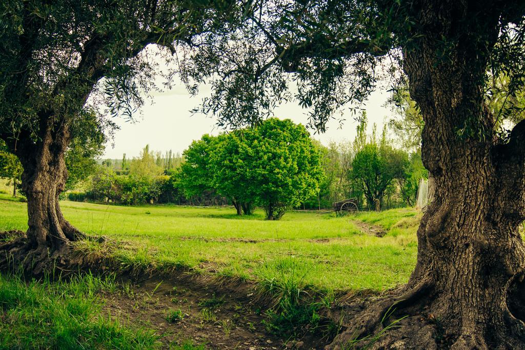 Finca La Encantada ซานราฟาเอล ภายนอก รูปภาพ